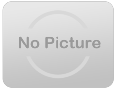 mechanical rides mechanical rides